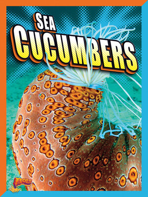 cover image of Sea Cucumbers